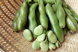 1月の注目野菜