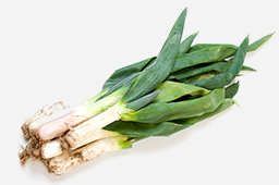 1月の注目野菜