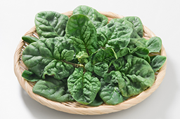 1月の注目野菜