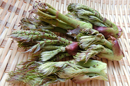 2月の注目野菜