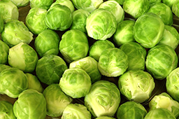 3月の注目野菜