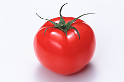 3月の注目野菜