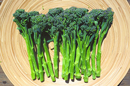 4月の注目野菜