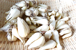 5月の注目野菜
