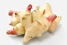 6月の注目野菜