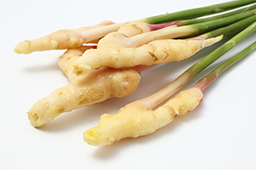 7月の注目野菜