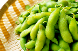 8月の注目野菜
