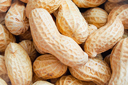 10月の注目野菜