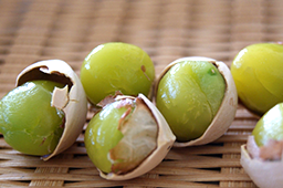 11月の注目野菜
