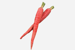 12月の注目野菜