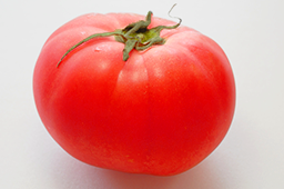 定松の目利き食材（野菜）