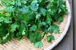 定松の目利き食材（野菜）