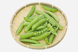 定松の目利き食材（野菜）