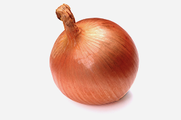 定松の目利き食材（野菜）