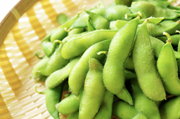 定松の目利き食材（野菜）