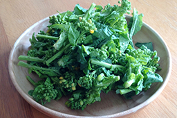 定松の目利き食材（野菜）
