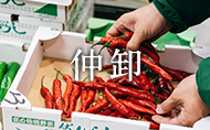 中卸はこちら