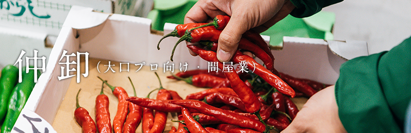 仲卸(プロ向け・問屋業)